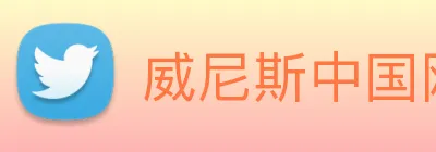 威尼斯中国网站 logo